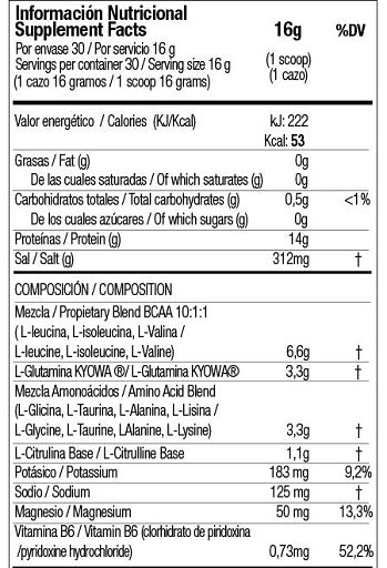 Zoomad Caretaker BCAA (480 gr) - Fitness Shop - PowerPumperz