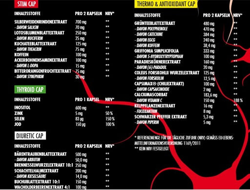 Big Zone Invictus DNP - Max Madsen Signature - Fitness Shop - PowerPumperz
