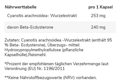 GN Ecdysterone 60 Kapseln - Fitness Shop - PowerPumperz