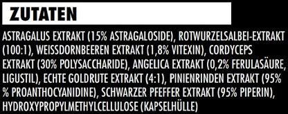 Big Zone Kidney 180 Kapseln - Fitness Shop - PowerPumperz