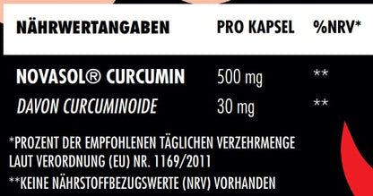 Big Zone NovaSol® Curcumin 90 Liquid Kapseln - Fitness Shop - PowerPumperz