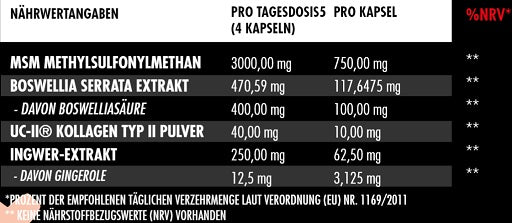 Big Zone Joint Protect 2.0 120 Kapseln - Fitness Shop - PowerPumperz
