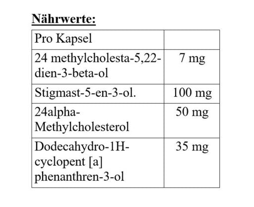 Megabol Testosterol 250 - 30 Kapsel - Fitness Shop - PowerPumperz